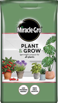 Picture of MIRACLE GRO PLANT & GROW AP 6LTR