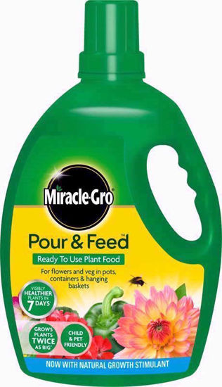 Picture of MIRACLE GRO POUR AND FEED 3LTR