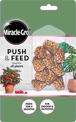 Picture of MIRACLE GRO PUSH & FEED 10 CONES