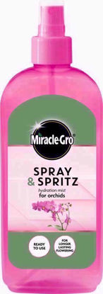 Picture of MIRACLE GRO SPRAY & SPRITZ ORCHID 300ML