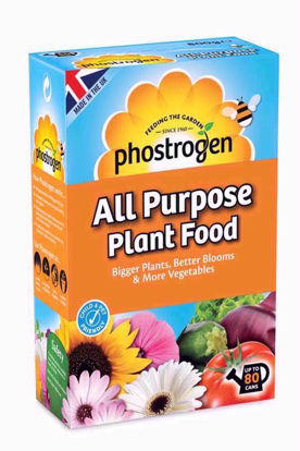 Picture of PHOSTROGEN ALL PURPOSE PLANT FOOD 80CAN