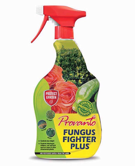 Picture of PROVANTO FUNGUS FIGHTER PLUS 1LTR