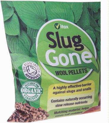 Picture of VITAX SLUG GONE 1 LITRE