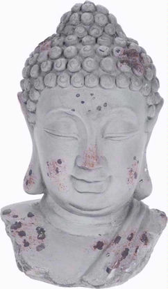 Picture of BUDDHA HEAD 20CM