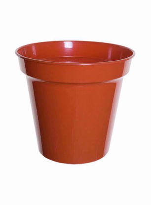 Picture of WHITEFURZE POT 8 INCH