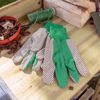 Picture of KINGFISHER GREEN/DOT MENS COTTON GLOVES