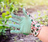 Picture of KINGFISHER LADIES WORKING GLOVES