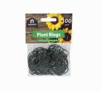 Picture of KINGFISHER PLANT RINGS