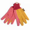 Picture of ROLSON WATER RESISTANT GARDEN GLOVE PINK