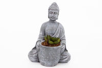 Picture of BUDDHA SUCCULENT 14X19CM