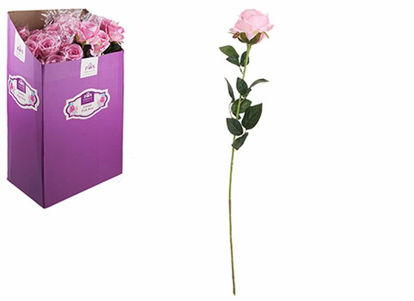 Picture of LUXURY PINK ROSE IN PVC SLEEVE