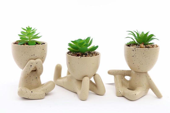 Picture of MAN POT SUCCULENTS 12X8CM