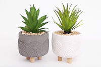 Picture of SUCCULENT POT WITH LEGS 20X11CM