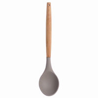 Picture of SABICHI SILICON SPOON