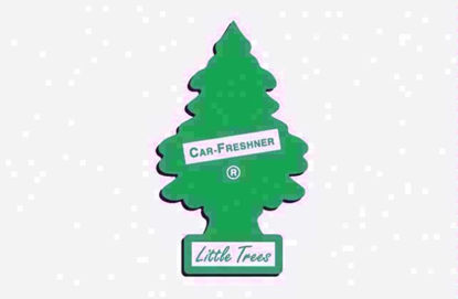 Picture of LITTLE TREES CAR FRESH FOREST FRESH