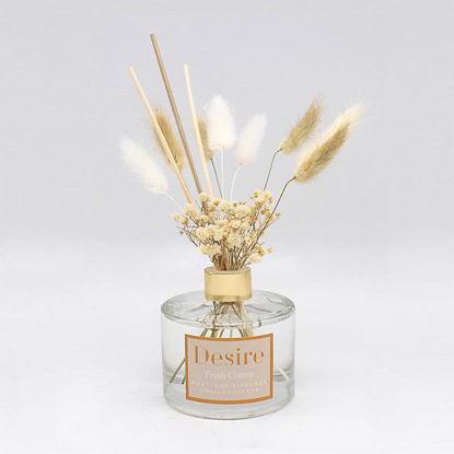 Picture of PAMPAS DIFFUSER 100ML NATURAL