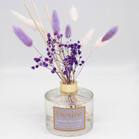 Picture of PAMPAS DIFFUSER 500ML LILAC