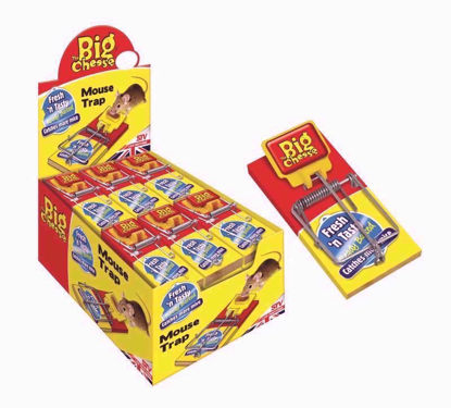 Picture of THE BIG CHEESE FRESH BAIT MOUSE TRAP