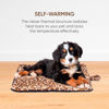 Picture of P/S SELF HEATING PET BED LEOPARD EFG1305