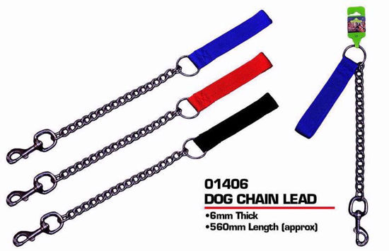 Picture of PETS THAT PLAY DOG CHAIN LEAD 560MM (12/48)