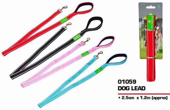 Picture of PETS THAT PLAY FABRIC DOG LEAD 1.2M APROX(60)