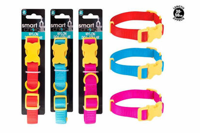 Picture of SMART CHOICE BRIGHT NYLON DOG COLLAR 2X30-50C