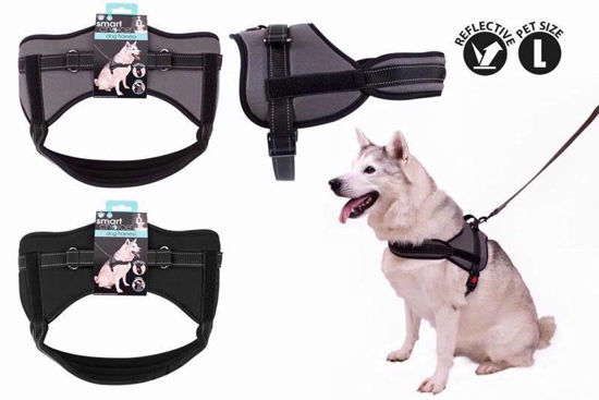 Picture of SMART CHOICE HARNESS REFLECTIVE LGE