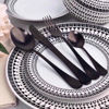 Picture of SABICHI GLAMOUR MATT BLACK 16PC CUTLERY