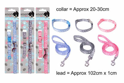 Picture of SMART CHOICE SMALL DOG LEAD/COLLAR SET